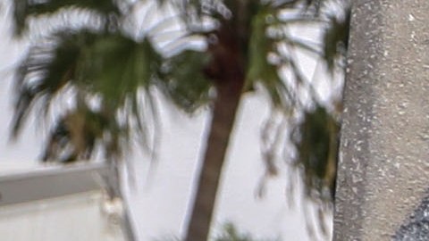 AA niega regreso a Cuba de opositora