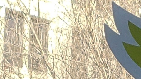 Inmigrantes piden medidas políticas como "muestras de amor" por San Valentín
