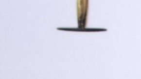 Marlene Favela y George Seely.