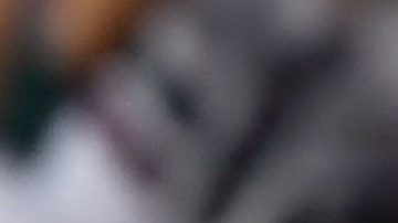 Javier "Chicharito" Hernández | Mezcalent.