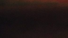 Alex Fernández | Mezcalent.