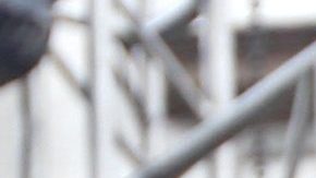 Vicente Fernández | Mezcalent.