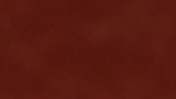 Adela Noriega | Mezcalent