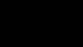 Alexander Zverev fue descalificado del Abierto de Acapulco por una actitud antideportiva contra el árbitro.