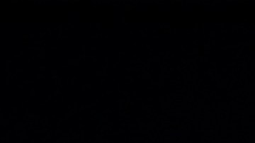 Alexander Zverev fue descalificado del Abierto de Acapulco por una actitud antideportiva contra el árbitro.