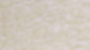 Andrea Meza, ex Miss Universo Mexicana.