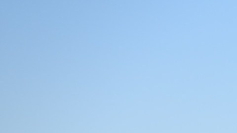 Avelo Airlines