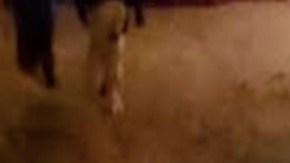 Balaceras entre sicarios del CJNG se prolongan por 48 horas en Colima, México.