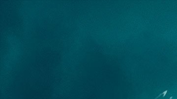 Los jugadores exigen que les sean devueltos los $70 que invirtieron comprando el nuevo Battlefield