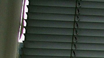 Bebés nacidos de madres vacunadas tienen menos probabilidades de ser hospitalizados con Covid, según CDC