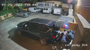 Video muestra a cuatro ladrones subiendo la caja fuerte a una camioneta. (Suministrada)