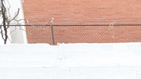 Los agentes de Seguridad Pública apoyaron en la detención del conductor y lo trasladaron a la Fiscalía.