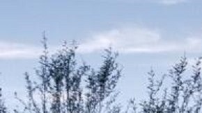 Los inmigrantes indocumentados fueron procesados por CBP.