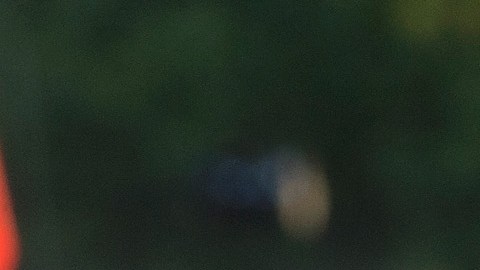 Cacería policiaca contra sospechoso de matar a tiros a tres personas dentro de una casa en Oregon