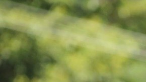 Grupos de autodefensas en México se mantienen vigentes en varios estados del país.