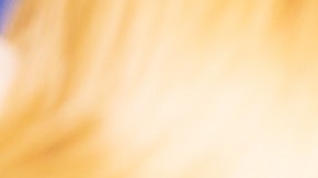 Premiere Of Illumination's "Sing 2" - Red Carpet