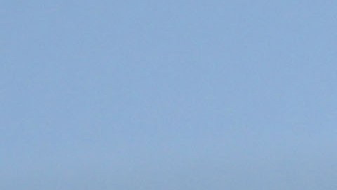 Diego Cocca, director técnico de Atlas, contento con el buen inicio de temporada de su equipo.