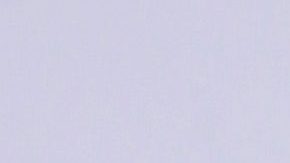 Video de Diego Verdaguer haciendo bromas se hacen virales.