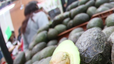 Aguacate mexicano.