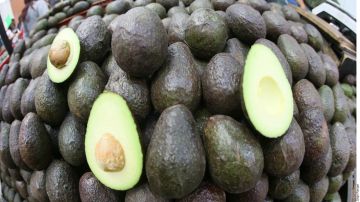 Aguacate mexicano.