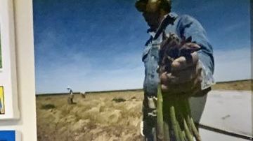 El Fiscal de Distrito de Los Ángeles, George Gascón alerta sobre el robo de autos. (Araceli Martínez/La Opinión)