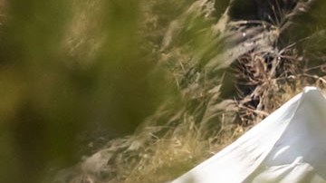 La mujer de 55 años ya había denunciado violencia doméstica.