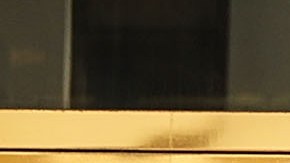 Organización Trump Donal Trump