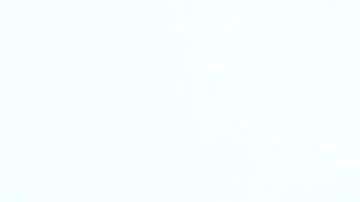 Harry y Meghan Markle