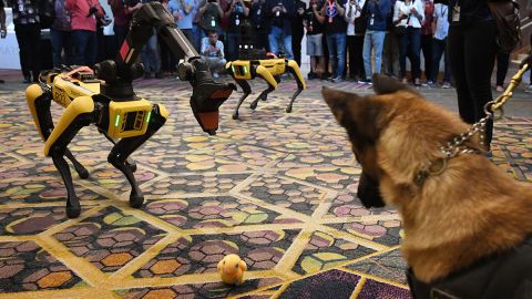 "Perros robot", los nuevos "agentes" migratorios de la frontera con México