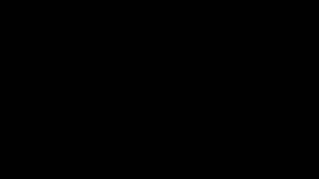 Título del Consejo Mundial de Boxeo (CMB).