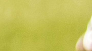 Sergio 'Kun'Agüero (i) y Lionel Messi (d) en una de sus últimas convocatorias con la selección de Argentina.