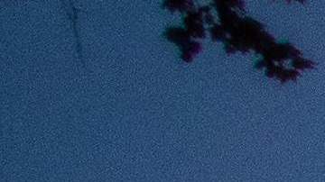 An ambulance of the LAFD Station No9 rides along Skid Row on April 12, 2020 in downtown Los Angeles, California. - One of the busiest fire station in the country , LA Fire Station 9 is on the front lines of California's homeless crisis e Coronavirus pandemic. (Photo by Apu GOMES / AFP) (Photo by APU GOMES/AFP via Getty Images)