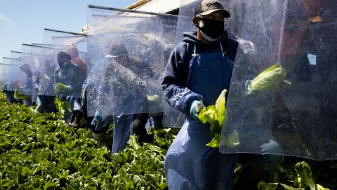 Trabajadores agrícolas con visa H-2A