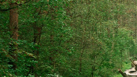 Rusia dice que usará medidas técnico-militares si EE.UU. no cede en garantizar seguridad en Europa