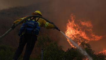 A firefighter extinguishes flames in a residential area at the Blue Ridge Fire in Yorba Linda, California, October 26, 2020. - Some 60,000 people fled their homes near Los Angeles on October 26 as a fast-spreading wildfire raged across more than 7,200 acres (3,000 hectares), blocking key roadways and critically injuring two firefighters. (Photo by Robyn Beck / AFP) (Photo by ROBYN BECK/AFP via Getty Images)