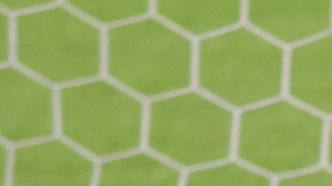 El guardameta ucraniano Andriy Lunin fue apoyado por todo el equipo.