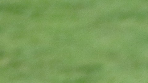 Carlos Vela