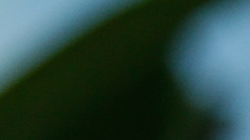 VIDEO: Mujer en Brasil lleva amarrado a su esposo para vacunarse contra COVID 19 y se vuelve viral