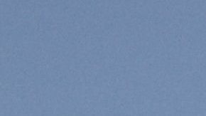 VIDEO: Súbita muerte de cientos de aves que volaban en México abre misterio que aún no se resuelve