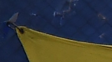 Actualmente Carlos Tévez figura como agente libre.