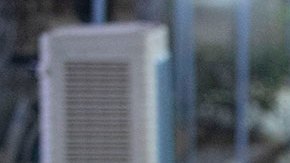 OMS pide a China “colaboración más fuerte” para determinar el origen del COVID