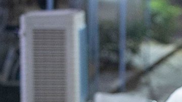 OMS pide a China “colaboración más fuerte” para determinar el origen del COVID