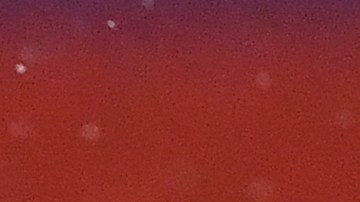 El jugador brasileño quiere revancha ante Alemania