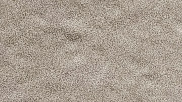 Illinois mascarillas escuelas Chicago