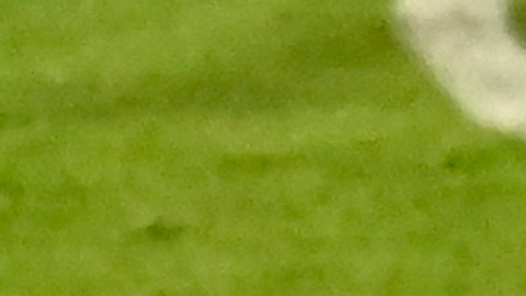 El delantero mexicano es líder goleador en el fútbol de Guatemala.