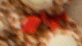 Gobernador Virginia firma legislación que pone fin a mandatos de mascarillas en escuelas