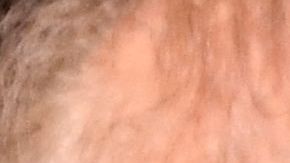 Mike Tyson estuvo presente en la pelea del Canelo Álvarez contra Caleb Plant en noviembre de 2021.