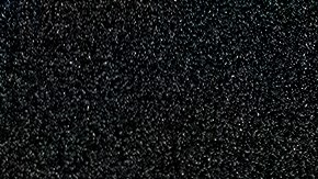 Ahmaud Arbery juez federal