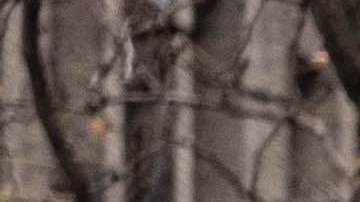 Mario Kart 8 va por el primer lugar de ventas este 2022.