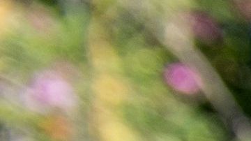 A Yellow Police tape blocks access to the 1100 block of Maytor place where Jacqueline Avant's house is at the top of the hill, in Beverly Hills , California on December 1, 2021. - The wife of the man known as the "Godfather of Black Music" was shot and killed Wednesday in a break-in at the couple's Beverly Hills home, US media reported. Jacqueline Avant died after being shot by a burglar, who also opened fire on a security guard, according to tabloid website TMZ. (Photo by VALERIE MACON / AFP) (Photo by VALERIE MACON/AFP via Getty Images)